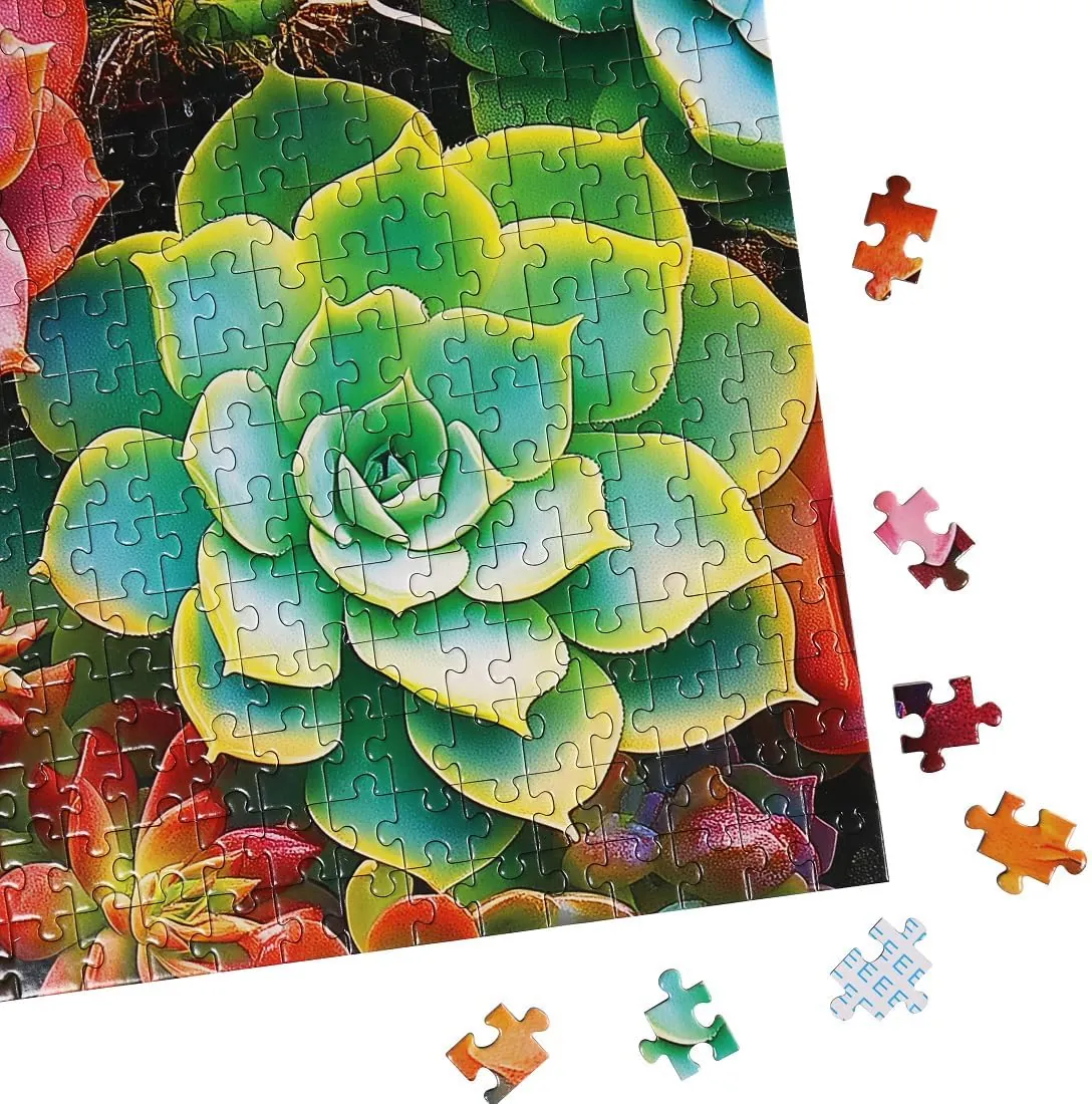 Moruska Succulent Puzzle 1000 Pieces for Adults Gradient Colorful