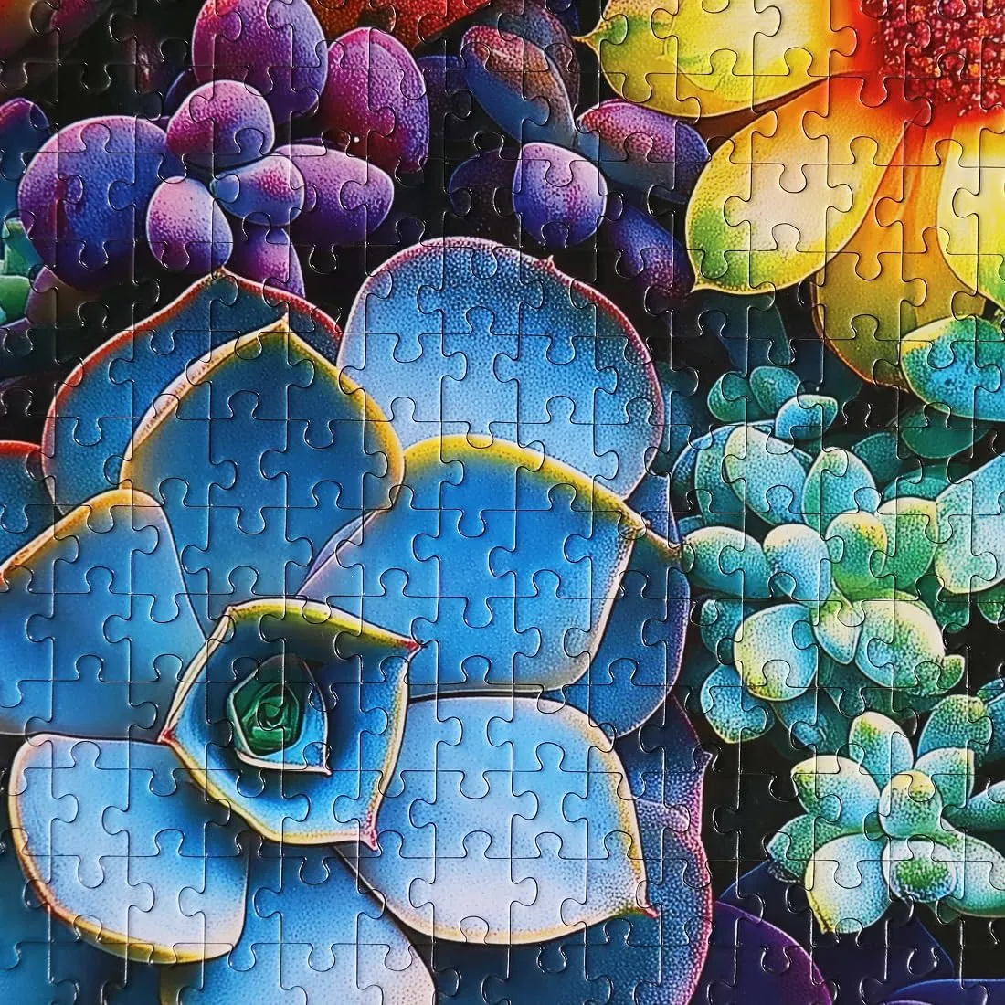 Moruska Succulent Puzzle 1000 Pieces for Adults Gradient Colorful