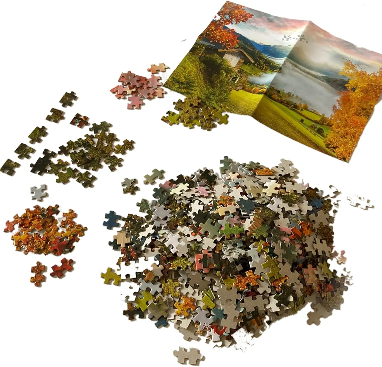 Moruska 1000 Pieces Jigsaw Puzzles for Adults Moruska Sunflowers